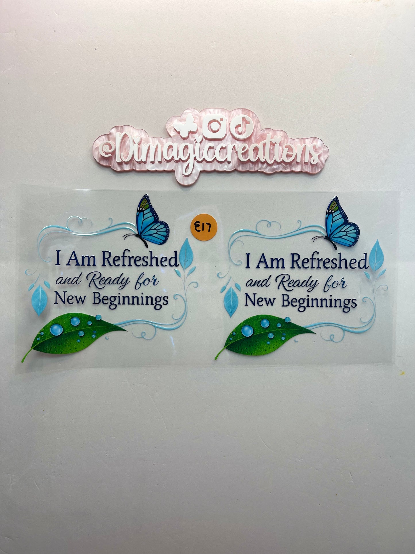 I am Refreshed and Ready for New Beginnings E17